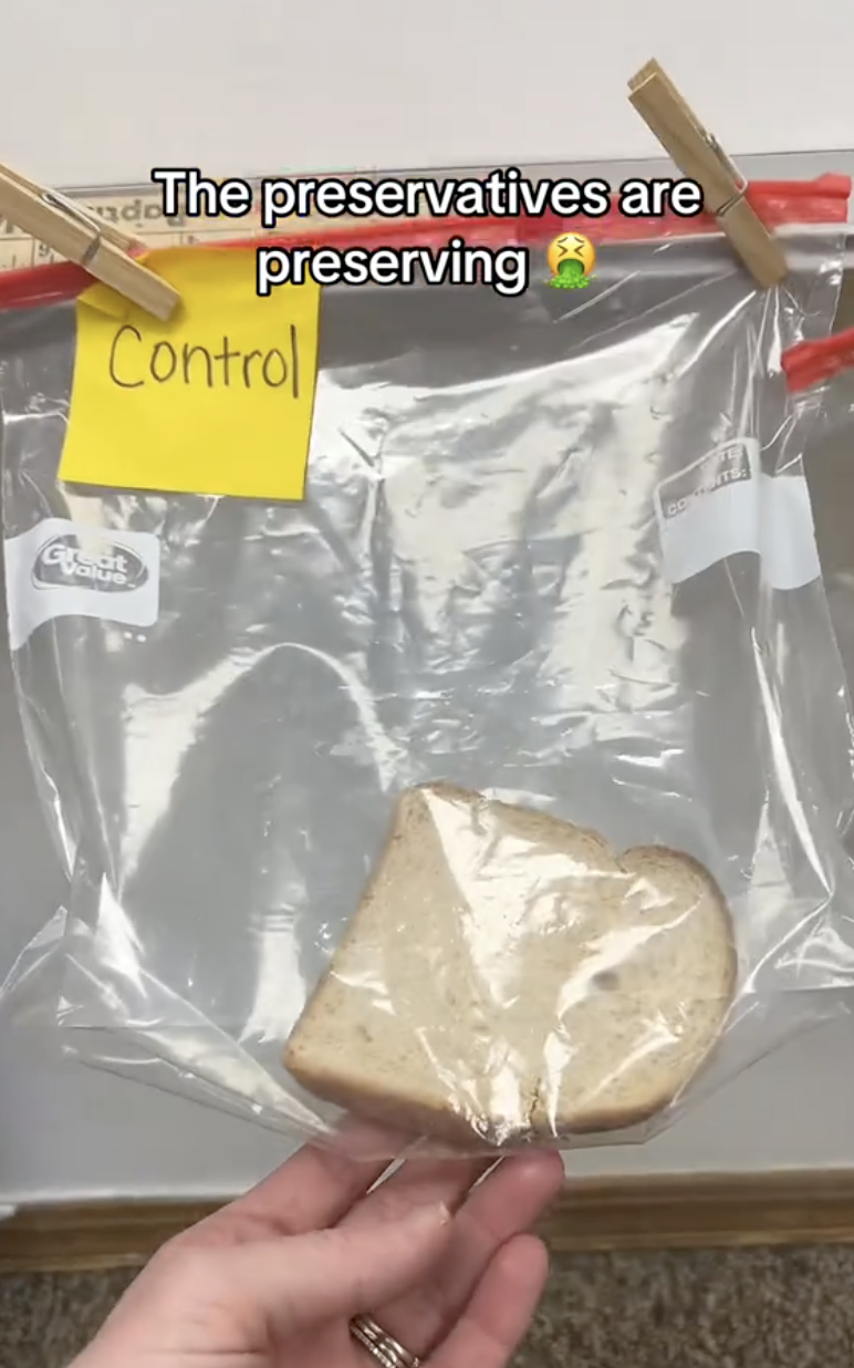 a piece of bread in a bag